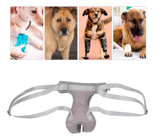 Jj Eslinga For Soporte For Patas Traseras For Perros, Arnés