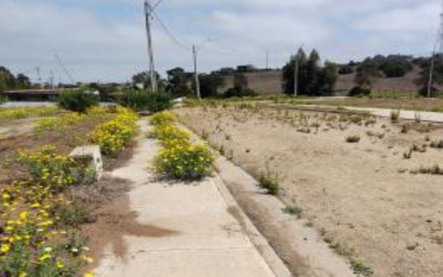 Industrial En Venta En Puchuncaví