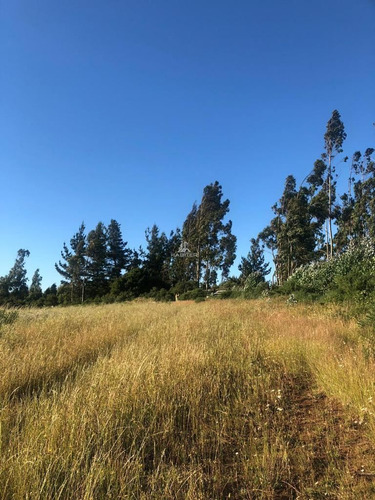 Vende Parcela En Nueva Imperial