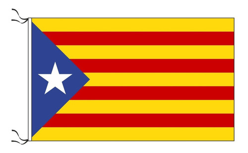 20 Banderas Catalunya Independentista 90 X 150cm Cataluña