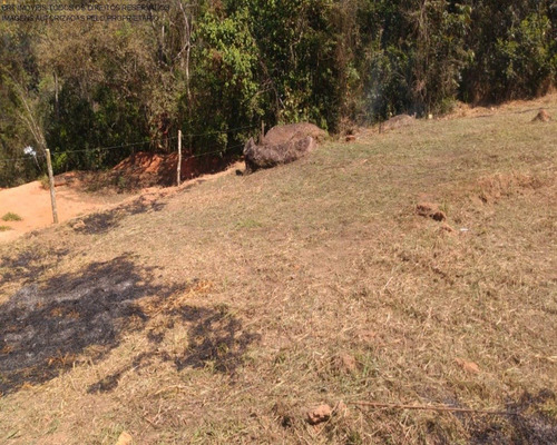 Imagem 11 de 11 de Terreno - Te00147 - 68899696
