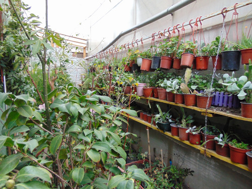Casa Con Vivero Ubicada A Pocas Cuadras Del Centro De Buin