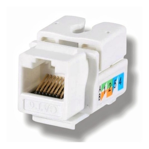 Faceplate Simple + Modulo Rj45 Cat 6 / Eleco