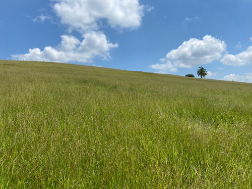 R16- A Venda Em Jacareí,terrenos 1000m