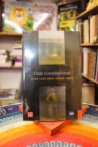 Chile Constitucional - Juan Luis Ossa Santa Cruz