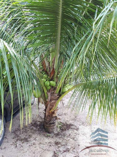 Imagem 2 de 7 de Granja A Venda Na Lagoa Do Bonfim