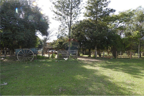 Imagen 11 de 14 de Vendo Estancias De 816 Hectáreas En Caaguazú