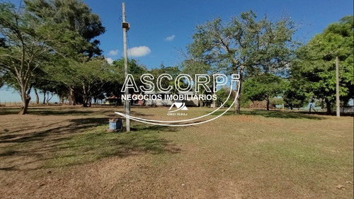 Imagem 2 de 19 de Sítio/pousada Em Anhembi - Piracicaba Sp(código St00003) - St00003 - 71022310