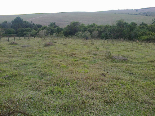 Imagem 1 de 8 de Chácara À Venda, 5000 M² Por R$ 375.000,00 - Ipiranga - Elias Fausto/sp - Ch0037