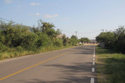 Imagen 6 de 14 de Venta De Lote En Carpinteria Sobre Av. Los Mandarinos