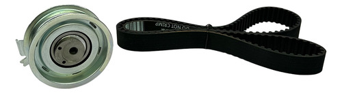Banda Distribucion, Polea Loca Seat Ibiza 2.0l 2003 - 2009