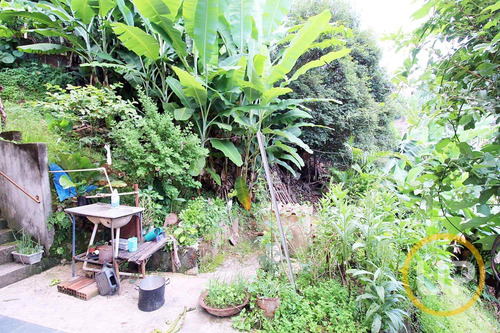 Lote / Terreno Em Padre Eustáquio - Belo Horizonte, Mg - 8601
