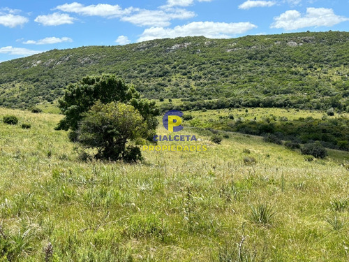 127 Hectáreas Con Arroyo Y Un Cerro