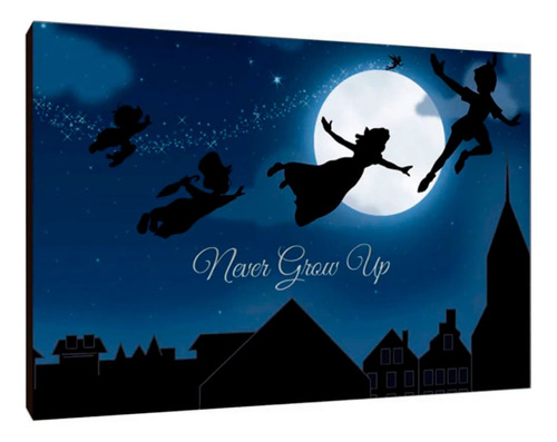 Cuadros Poster Disney Peter Pan S 15x20 (ipp (24)