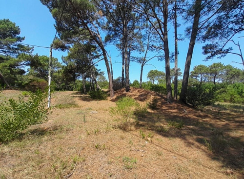 Imagen 4 de 7 de Terreno En Venta En Barra Verde