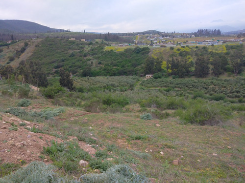 Sector Las Gaviotas