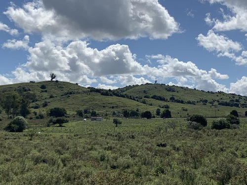 10 Has De Campo Sobre Ruta 13 A Minutos De Aiguá. Un Lugar De Descanso Ideal!