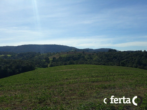 Imagem 8 de 15 de Chacara - Bugre - Ref: 773 - V-773