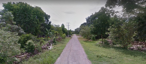 Imagen 4 de 13 de Terreno De 7.98 Has En Tixpéhual Yuc. A Espaldas De Casco De Hacienda.