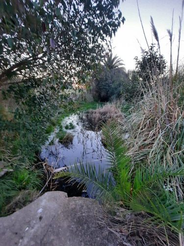 Chacra Con Casa Zona Melilla (ref. 4181)
