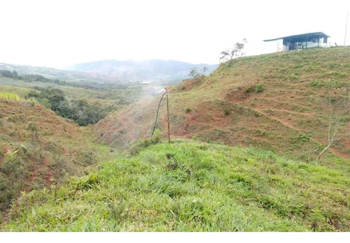 Venta Finca Restrepo Valle Del Cauca