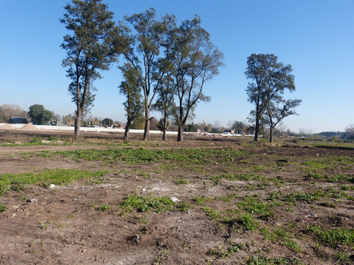 Imagen 9 de 16 de Terreno Lote En Venta Ubicado En Pinazo, Del Viso, Pilar