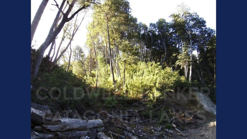 Imagen 7 de 18 de Venta Lote/terreno Con Financiación De 1246,42 M2 Uf 2 - Faldeo Del Bayo, Villa La Angostura
