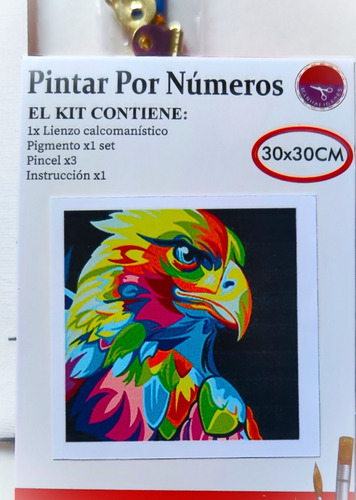 Imagen 4 de 10 de Cuadro/pintura Rellenando Números 30x30 Cm Aguila