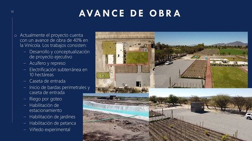 Venta De Terrenos Con Corredor Vinícola En Bernal