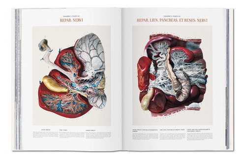 Atlas Of Human Anatomy And Surgery - Por J. M. Bourgery - Anatomia - Livro Importado Edição Grande - Inglês Francês - Editora Taschen - Capa Dura - 1a Edição