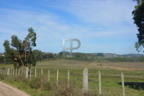 Imagen 3 de 3 de Campo En Venta San Carlos 15 Hectáreas