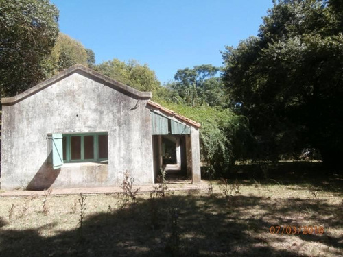 Imagen 5 de 25 de Campo Alto A 60 Km Del Ovelisco 376 Hectareas Con Mejoras