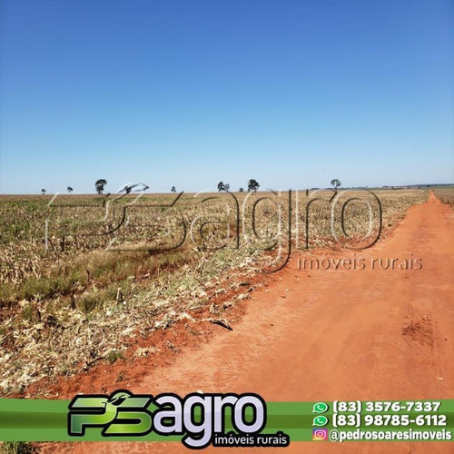 Imagem 14 de 16 de Fazenda À Venda, 350 Alqueires Por R$ 66.350.000 - Centro - Iepê/sp - Fa0171