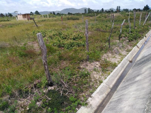 Imagen 8 de 8 de Terreno En Venta San Vicente Buena Vista