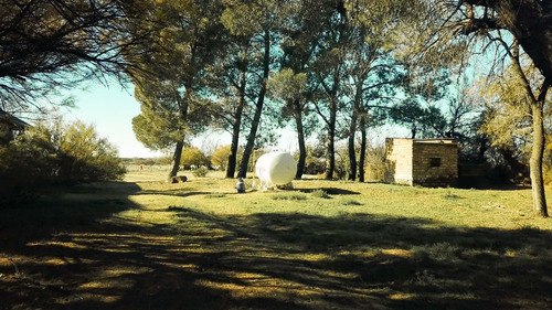Imagen 3 de 13 de Increible Campo En Venta Apto Para Turismo Rural En La Pampa