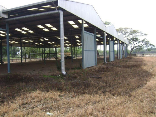 Imagen 7 de 10 de Terreno Con Estructura Para Galpones Industriales