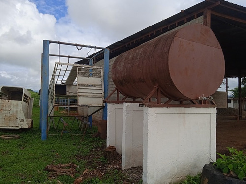 Imagen 9 de 25 de Finca Venta Lara Acarigua En Venta (gamelotal) De 251 Hectareas