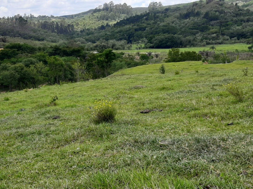 Imagem 4 de 14 de Terrenos De 1000m² A 3000m² A Partir De R$ 49.999 À Vista