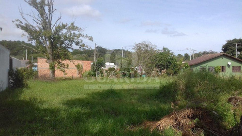 Imagem 5 de 6 de Terreno - Belem Novo - Ref: 149415 - V-149415