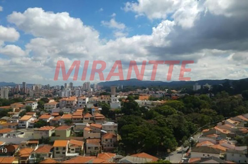 Imagem 8 de 9 de Conjunto Comercial Em Tucuruvi - São Paulo, Sp - 324350