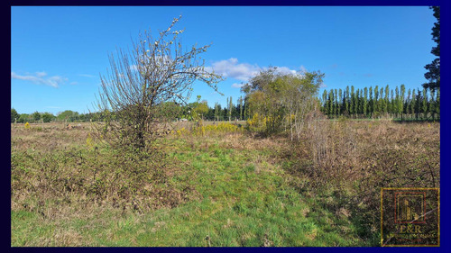 Venta De Parcela En Curaco , Santa Juana (69144)