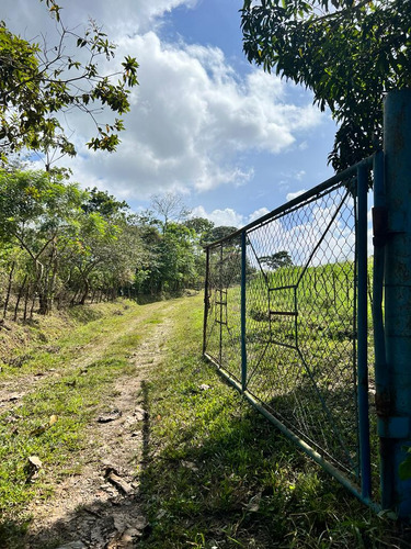 Agropecuaria Prima Rosa En Venta. (nc)