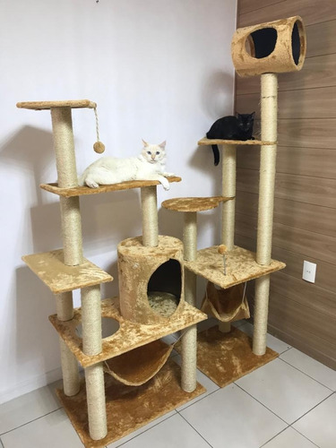 Brinquedo Arranhador Gato Casa  Kit Gato