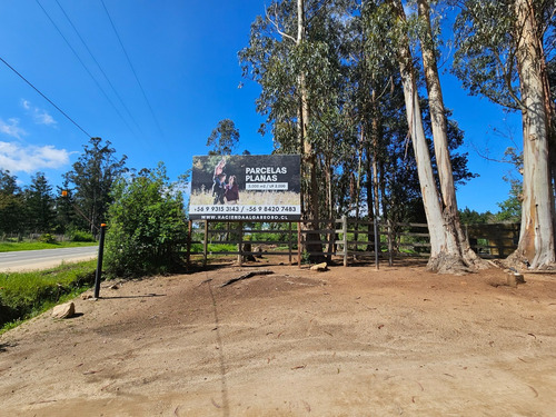 Hacienda Algarrobo, 5000 M2,portería, Rol, Red De Luz Y Agua