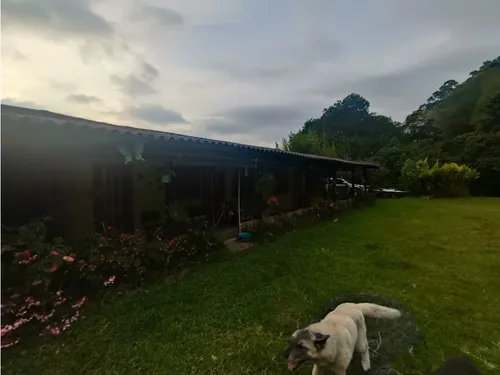 Se Vende Finca En Salento - Quindío