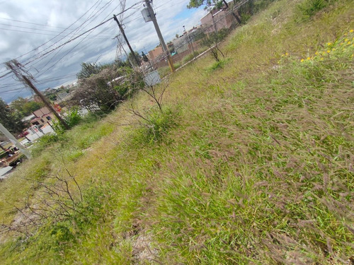 Imagen 5 de 11 de Terreno Con Uso Comercial En El Centro De San Miguel De Alle