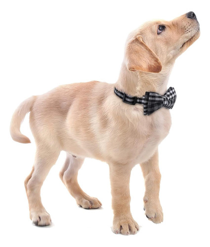 Faleela Collar Perro Pajarita Suave Y Cómodo