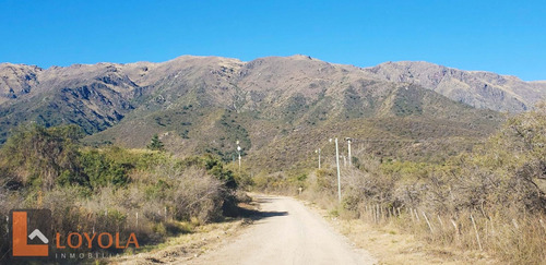 Imagen 14 de 16 de Hermosa Fracción De Bosque En La Zona Mas Alta!!!