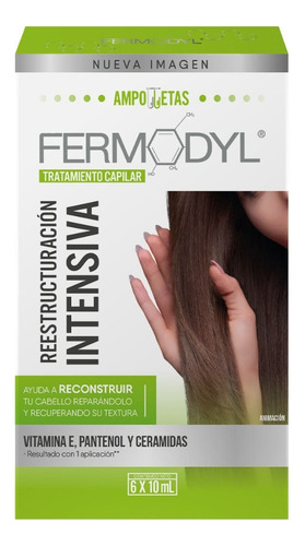 Tratamiento Ampolleta Fermodyl Reconstrucción 6 X 10 Ml