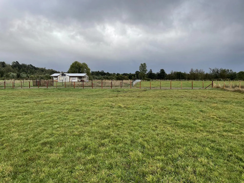 Venta Parcela 5000mts Paillaco